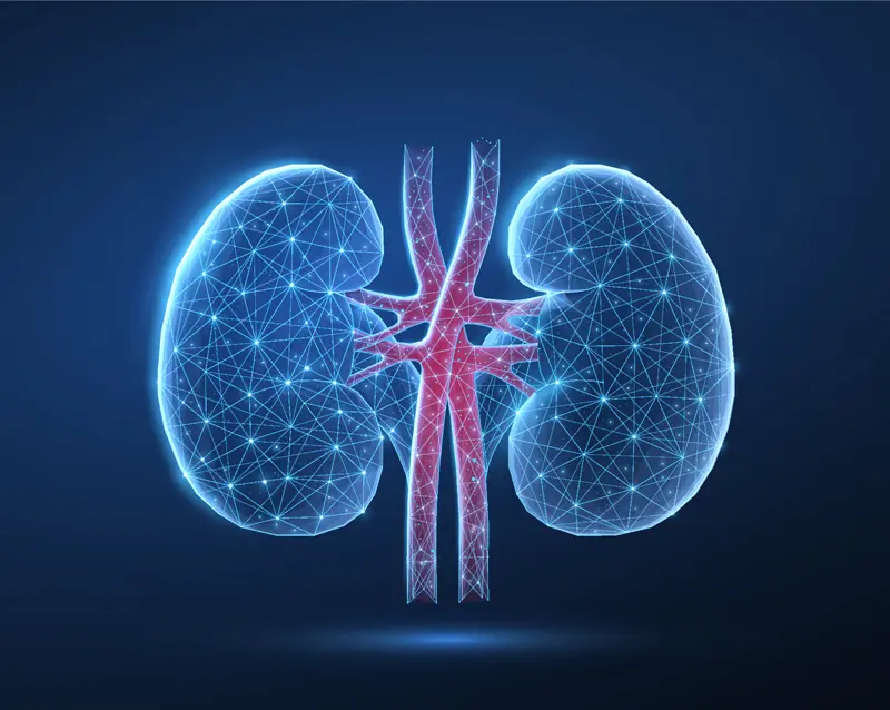 image rein UroCCR à Bordeaux