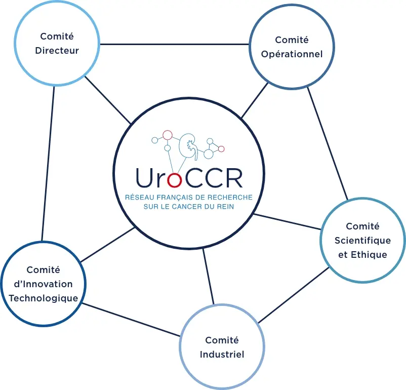 Socle de fonctionnement UroCCR à Bordeaux